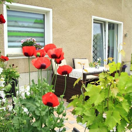 Ferienwohnung Haus Felix バート・エルスター エクステリア 写真
