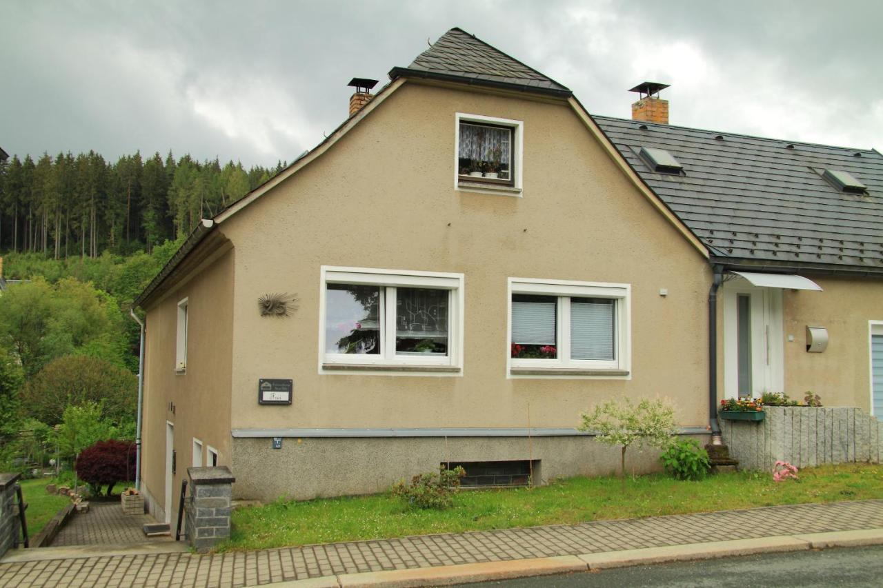 Ferienwohnung Haus Felix バート・エルスター エクステリア 写真